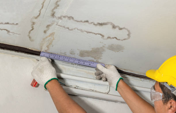 Reliable Mold Remediation contractor in Big Lake, TX by Water Damage Irwin